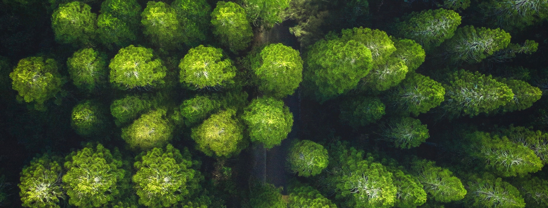 SUMORA Tours & Travels