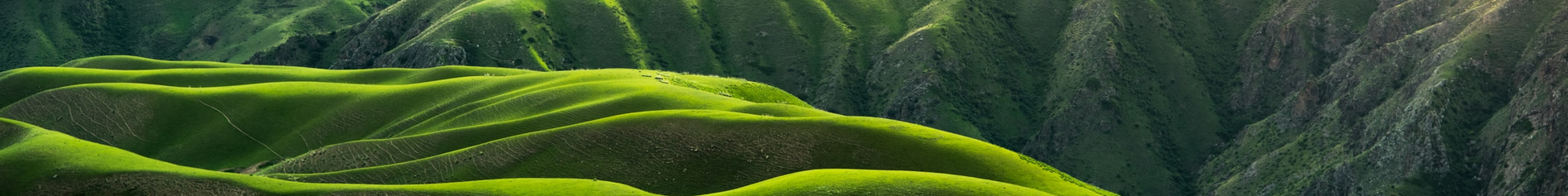 SUMORA Tours & Travels