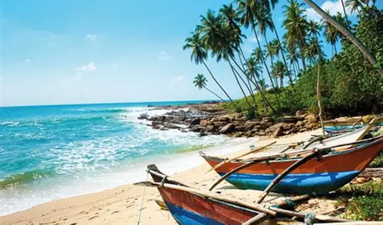 SUMORA Tours & Travels